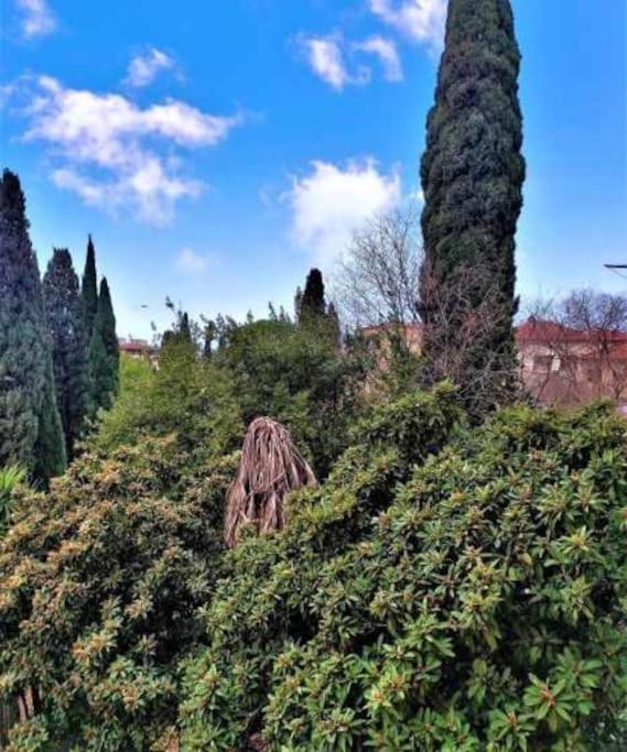 Casa Raffaello Careggi Lejlighed Firenze Eksteriør billede